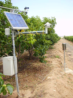 Estación agroclimática de Manises - Vista detalle